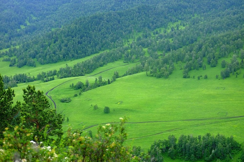 Photograph by Алёна Пичугина