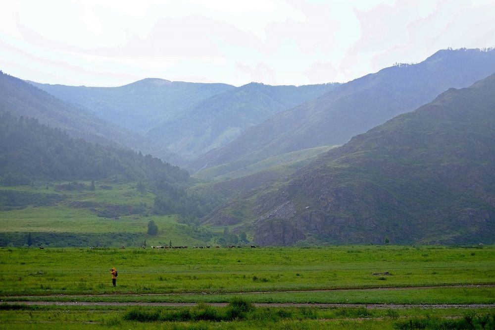 Photograph by Алёна Пичугина