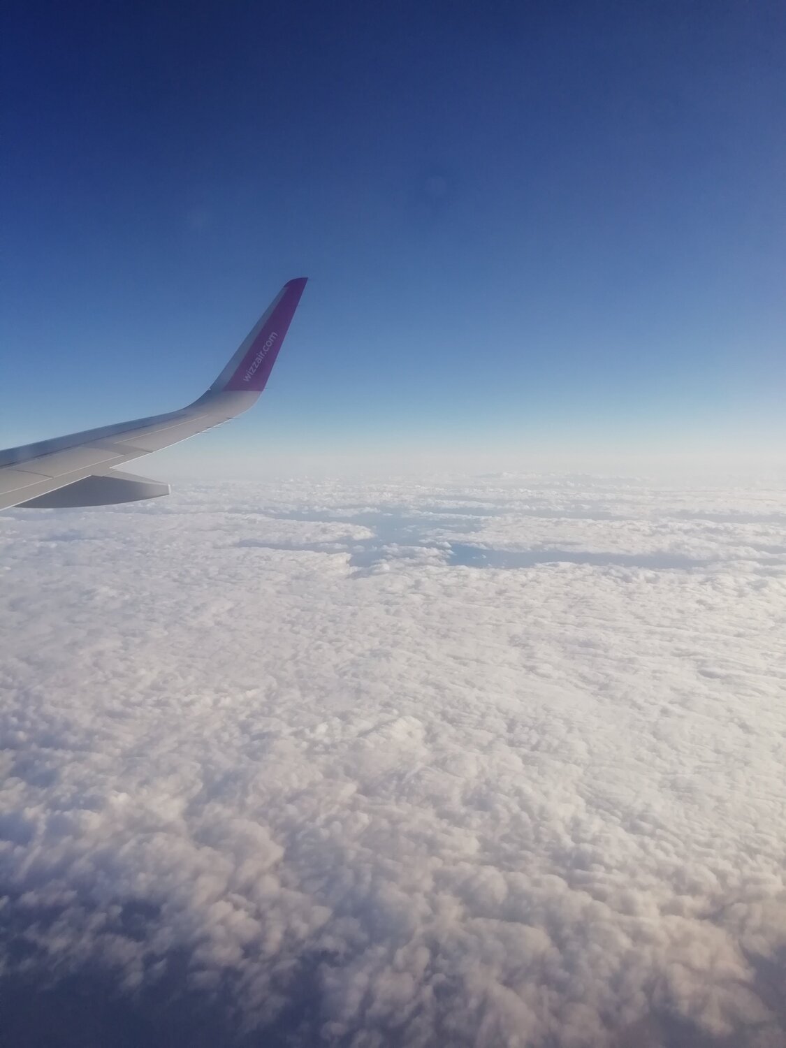 Photo #5863664
