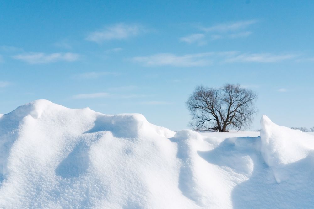 Февраль и ты