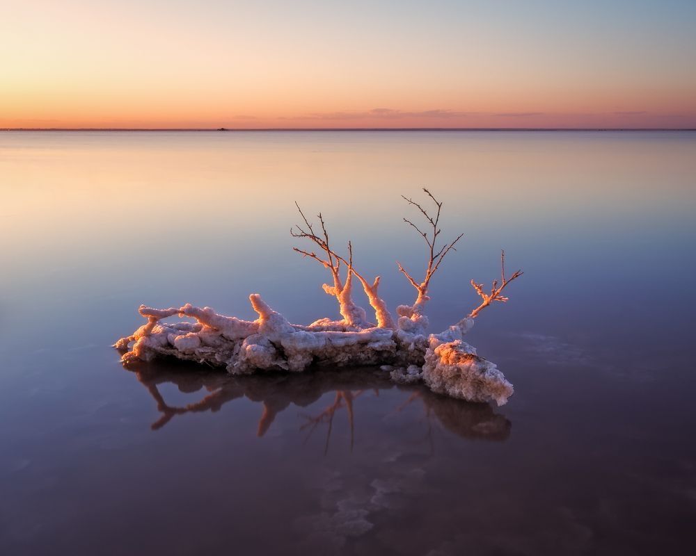 Photograph by Екатерина Дмитренко