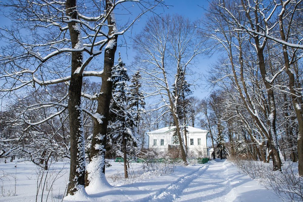 Ясная морозная поляна