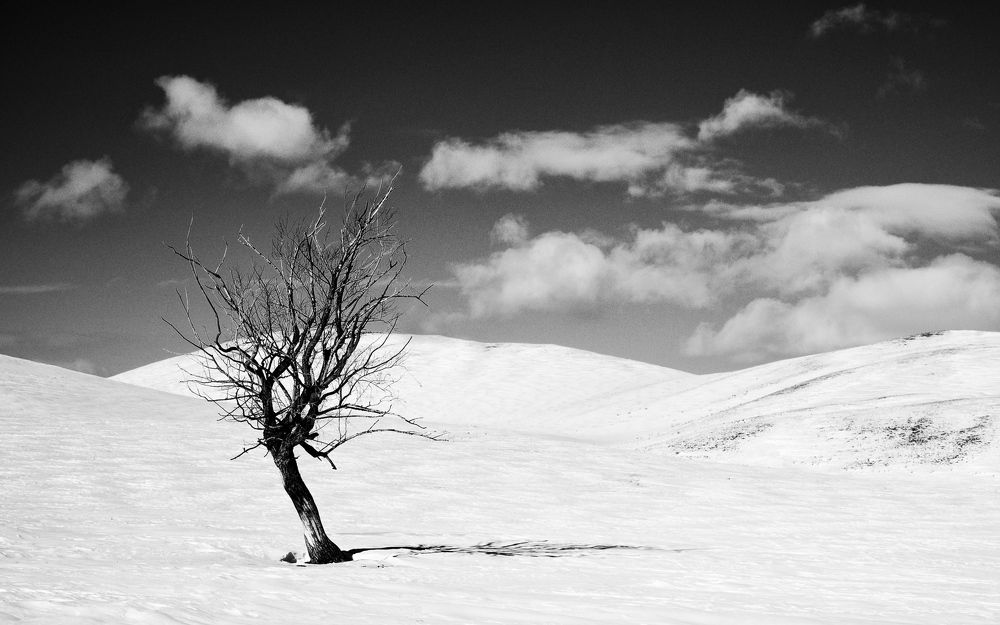 Фотография автора Кочергин Дмитрий