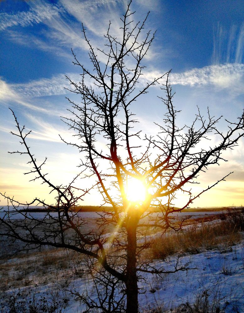 Photograph by Андрей Семенченко