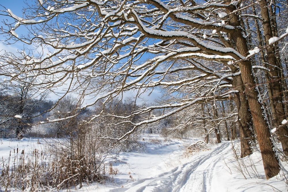 Все вокруг от чистоты