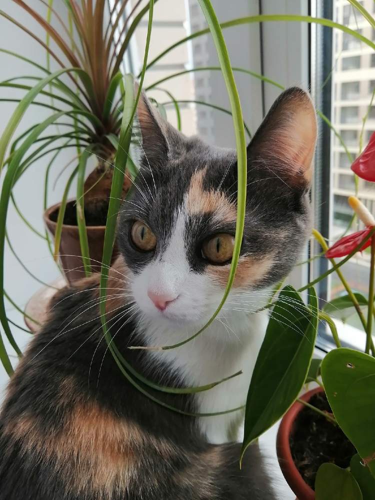 Photograph by Анна