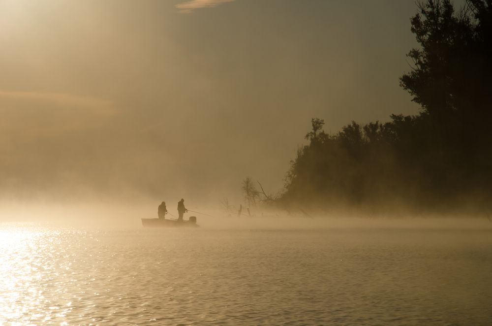 Photograph by Алексей Кузьмин