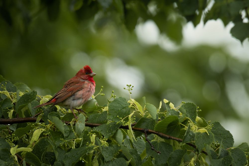 Photograph by Дмитрий Посевич