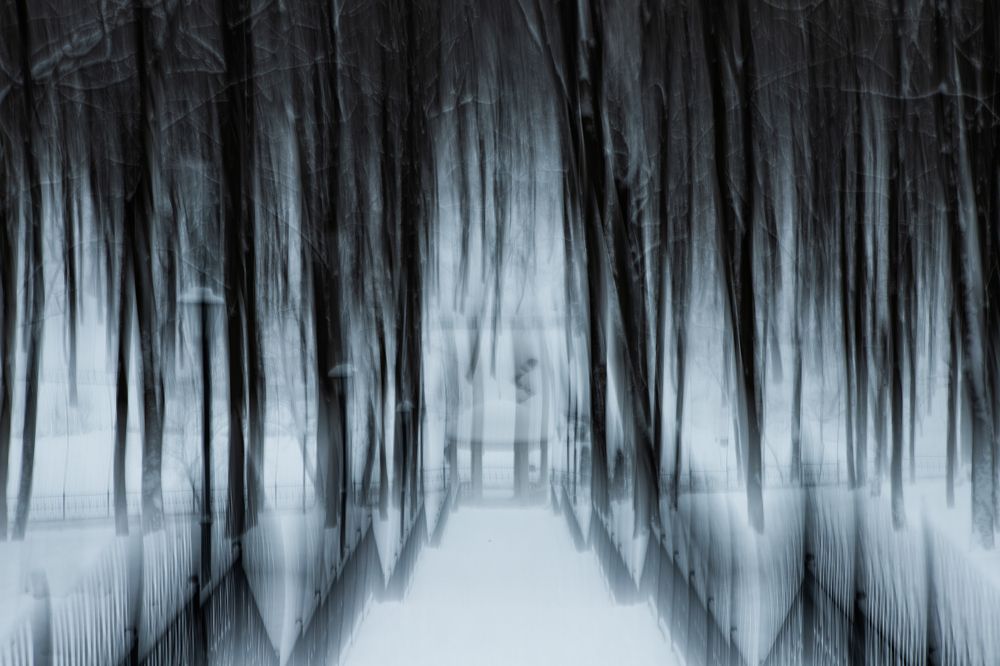 Рентгенография Платона