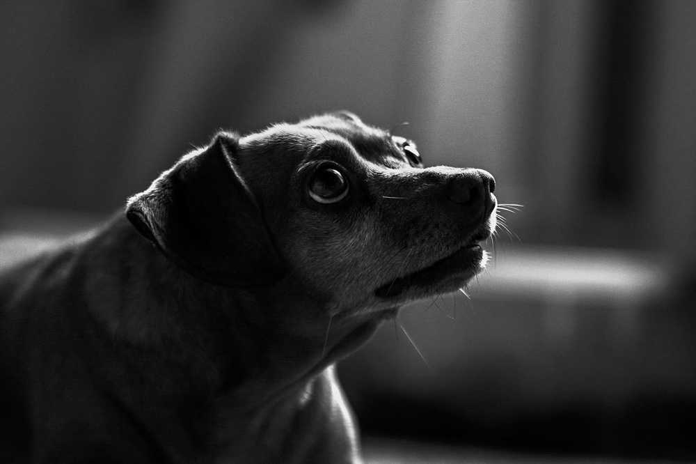 Photograph by Кристина Чижмар