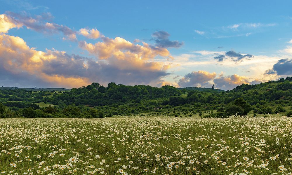 Photograph by Alex Kalpus