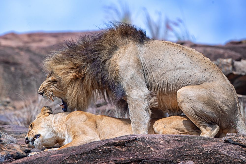 Photograph by shahin olakara