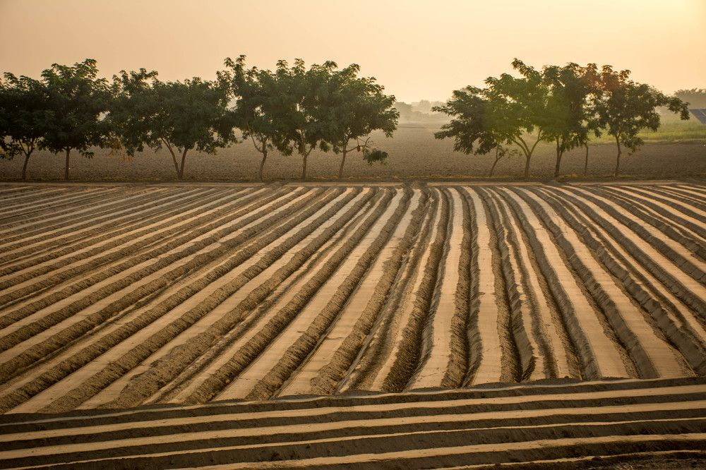 Photograph by Ahmad Bilal Cheema