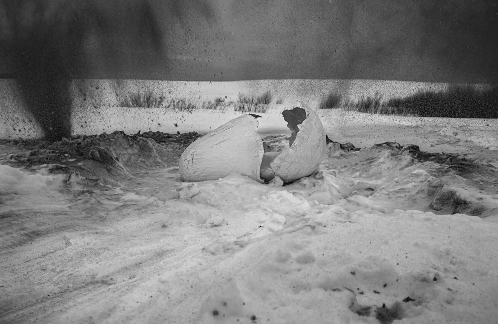 Photograph by Михаил Тонконожко