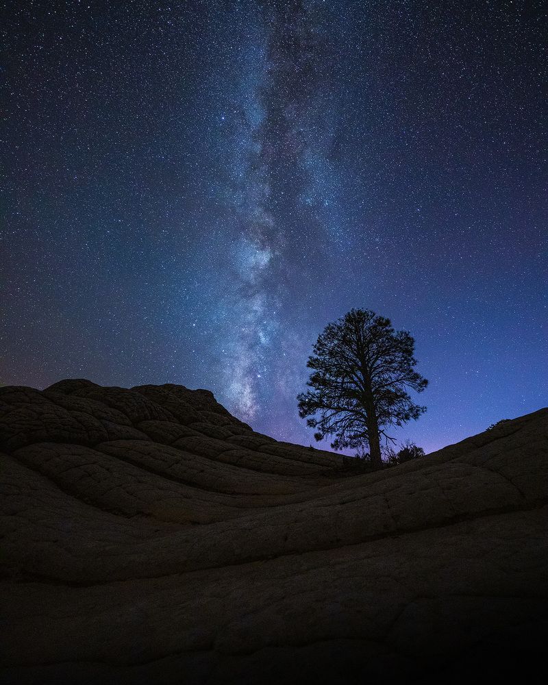 Photograph by Lana Anferow