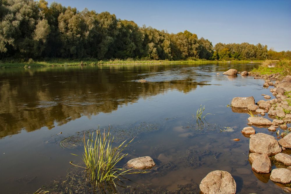 Неманские просторы.