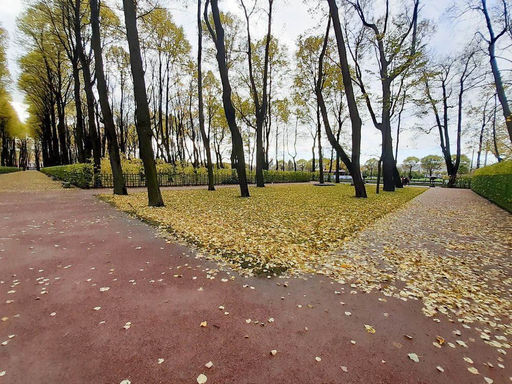 Photograph by Босак Ирина