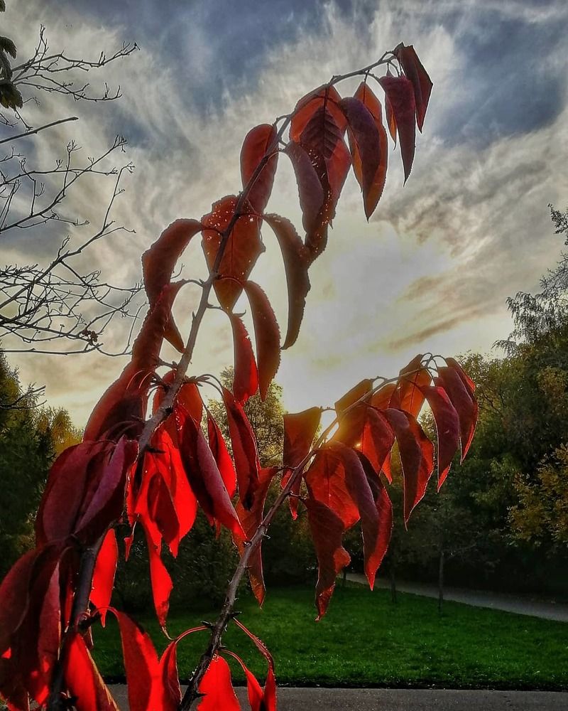 Photograph by Анатолий Мельничук