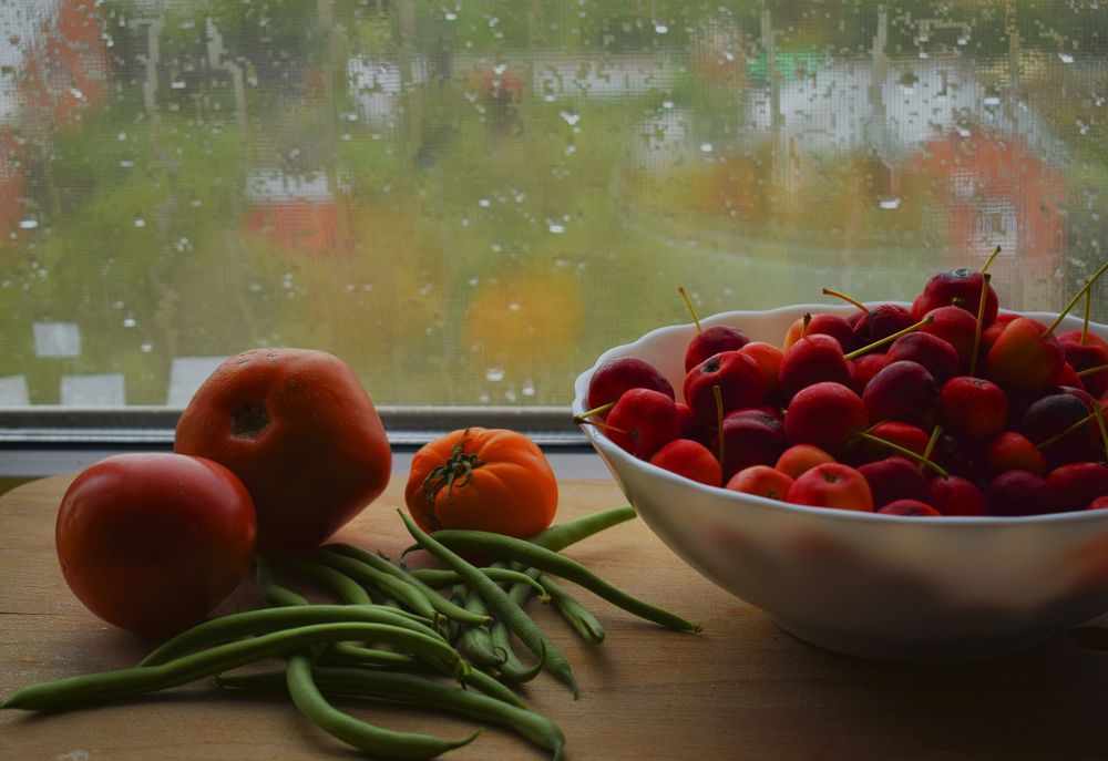 Photograph by Darya Dolinina