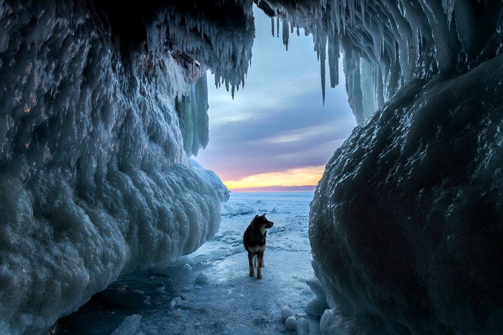 Фотография автора Андрей Пожарский