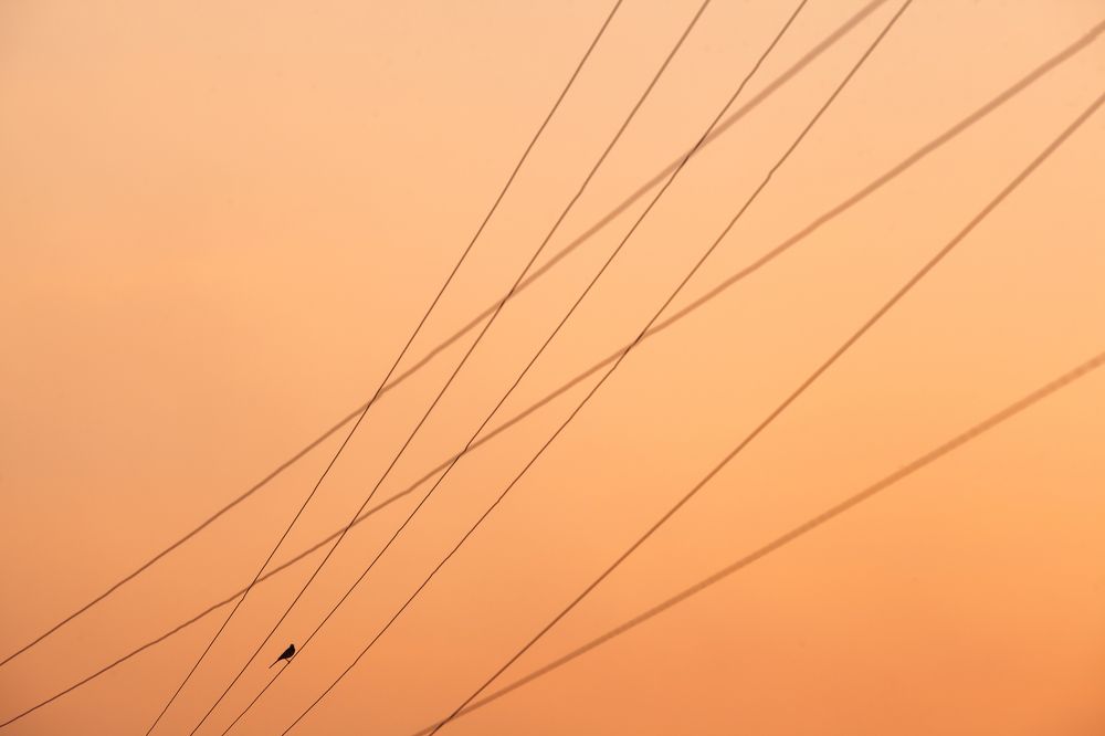 Хокку про апрель