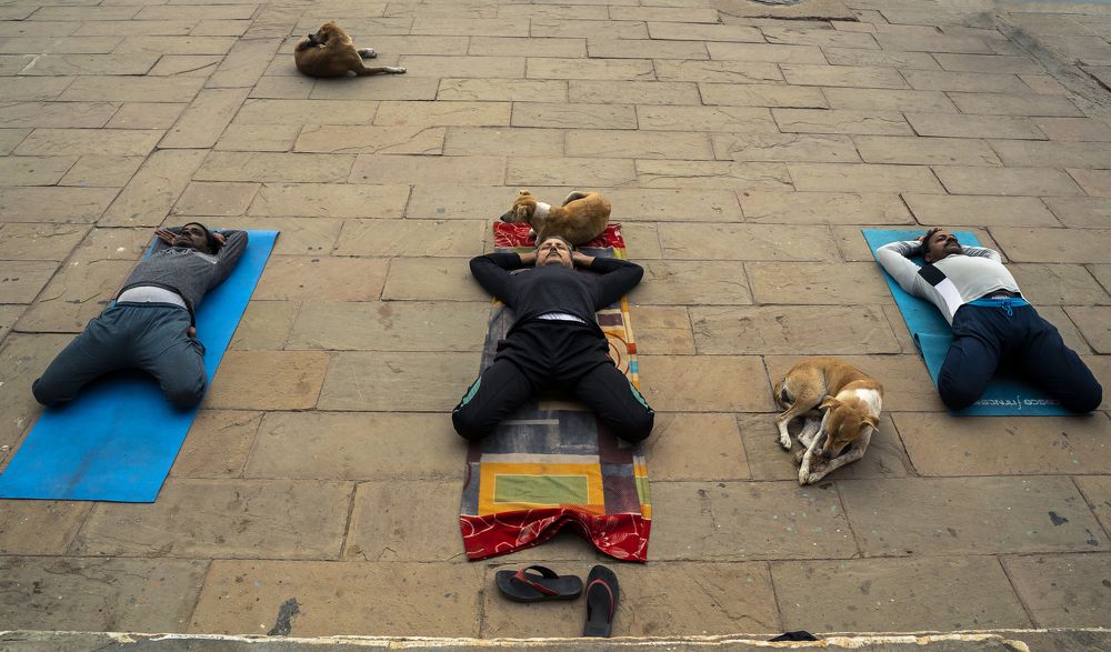 Photograph by Rahul saini