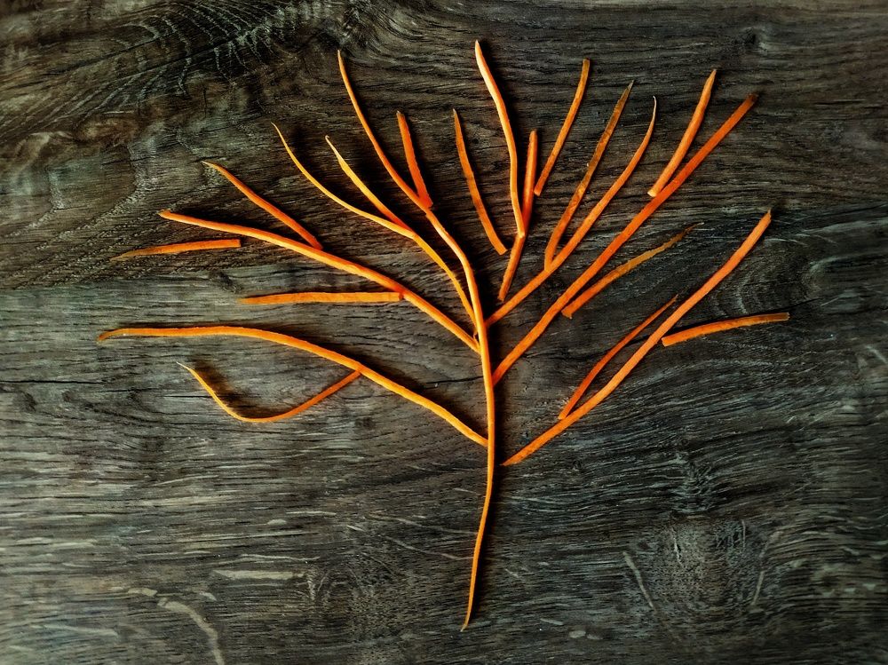 Морковное дерево