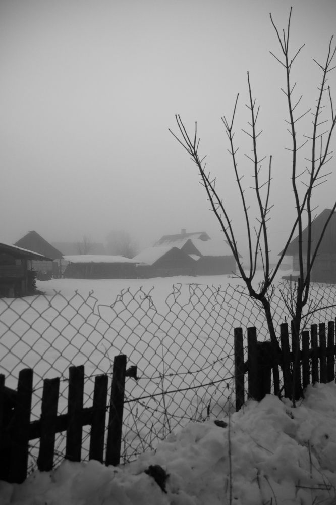 Фотография автора Наталья Васько -Черданцева