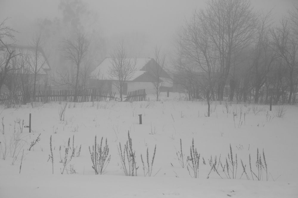 Фотография автора Наталья Васько -Черданцева