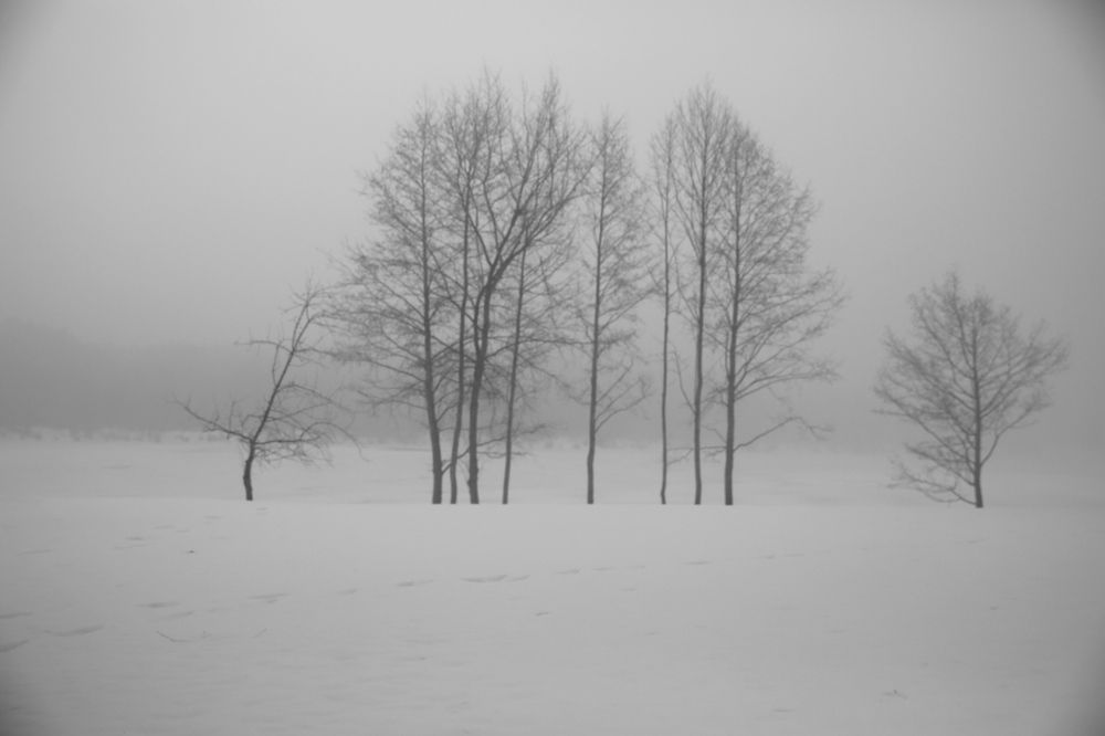 Фотография автора Наталья Васько -Черданцева
