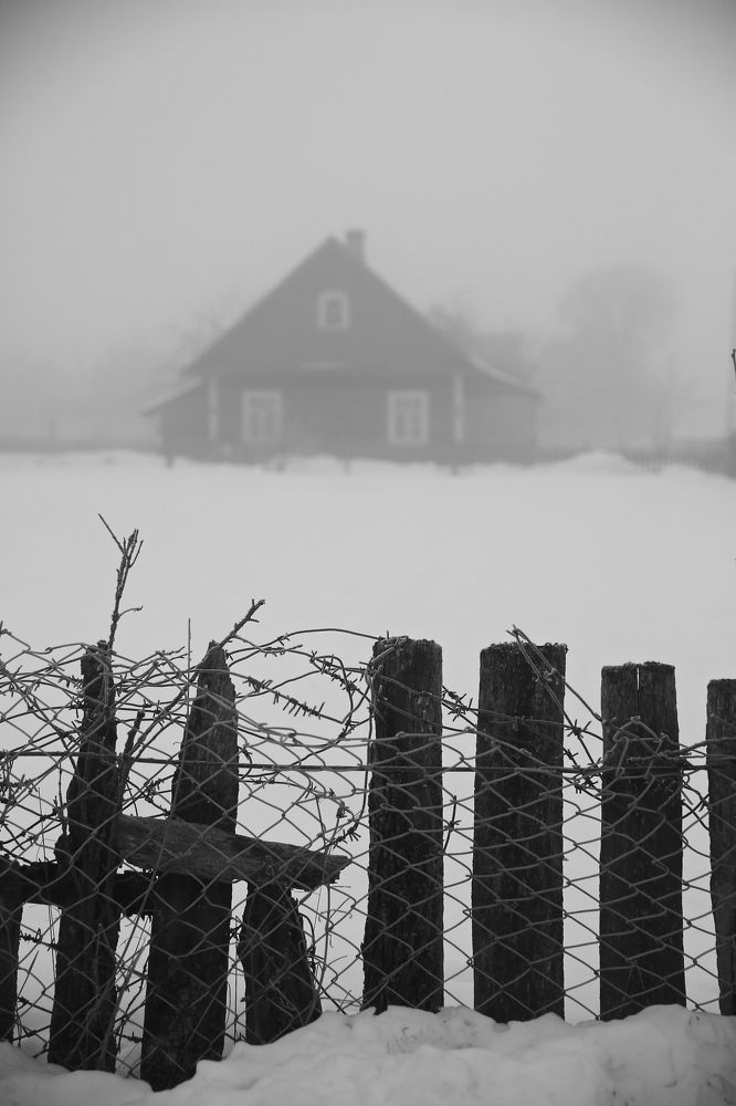 Фотография автора Наталья Васько -Черданцева