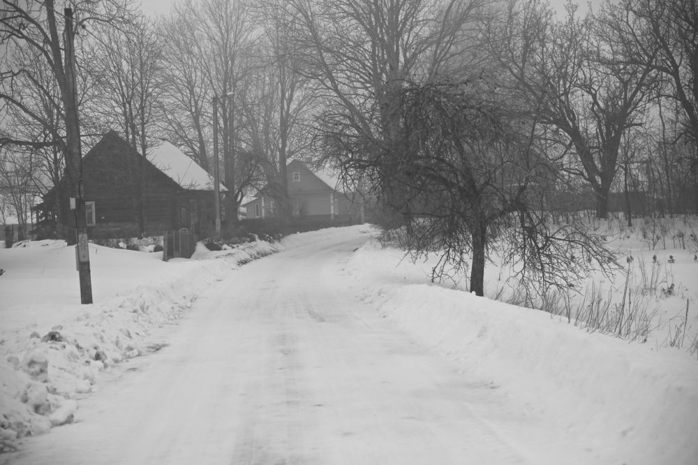 Фотография автора Наталья Васько -Черданцева