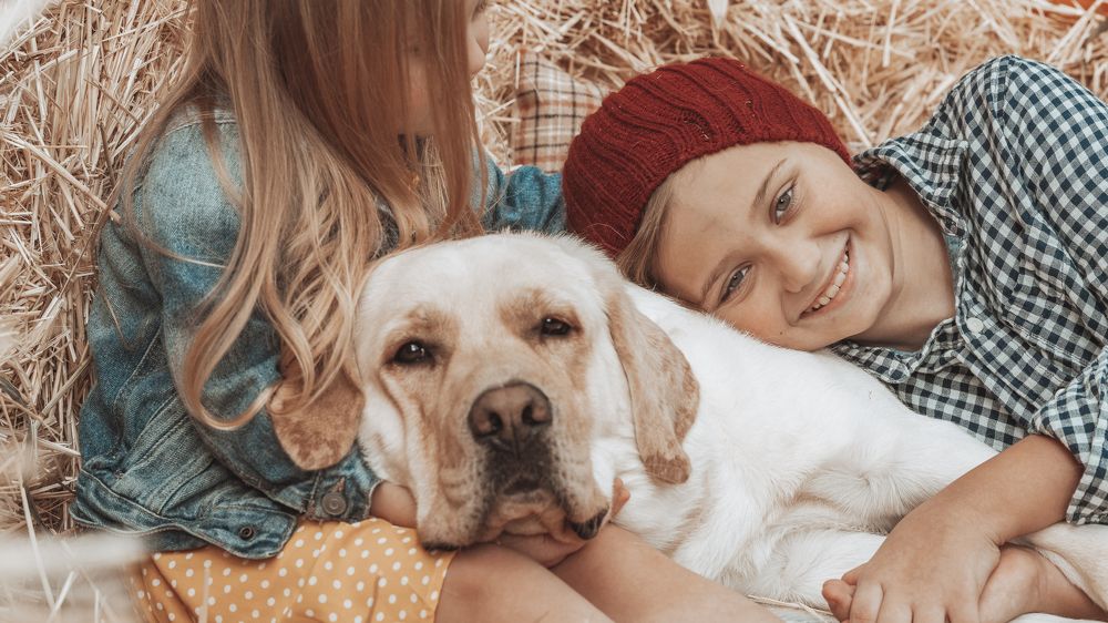 Photograph by Anastasia Rotkina