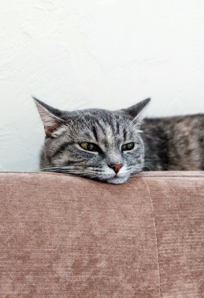 Photograph by Natalie Dmay