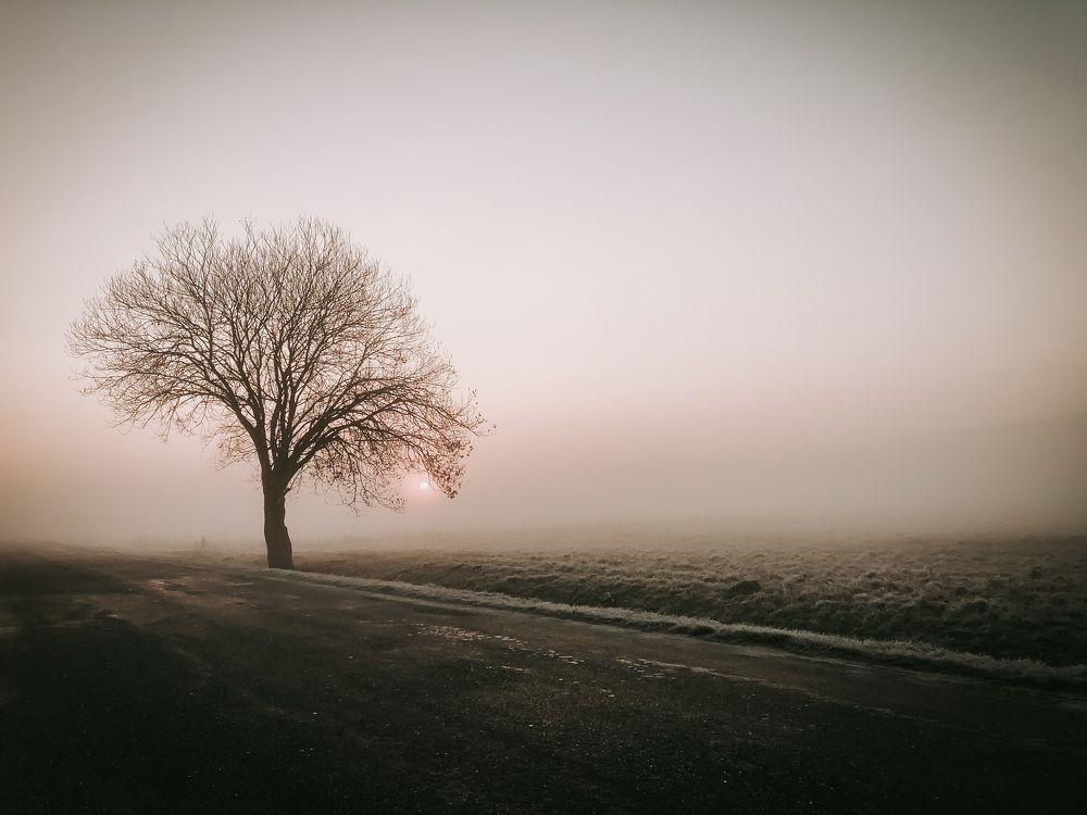 Photo #5864384