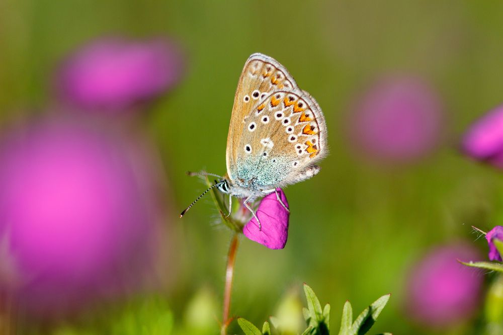 Photograph by Efremenko Nikita