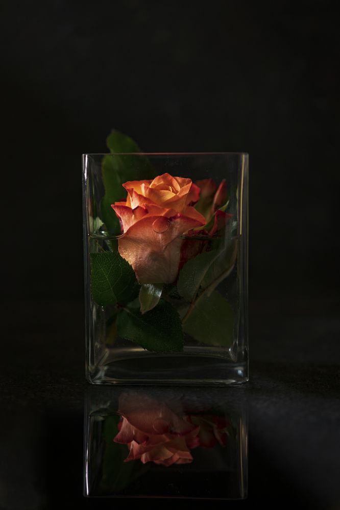 Photograph by Diana Sklarova