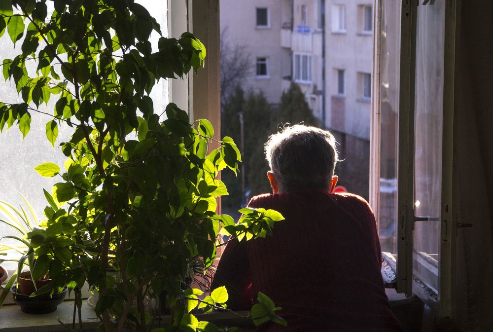 Photograph by Toth Csongor