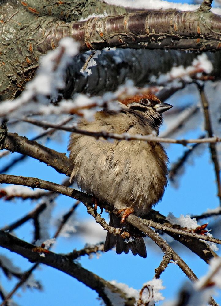Photograph by Светлана Шмигельская