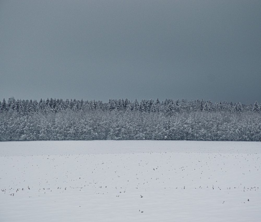 Photograph by Юлія Белая