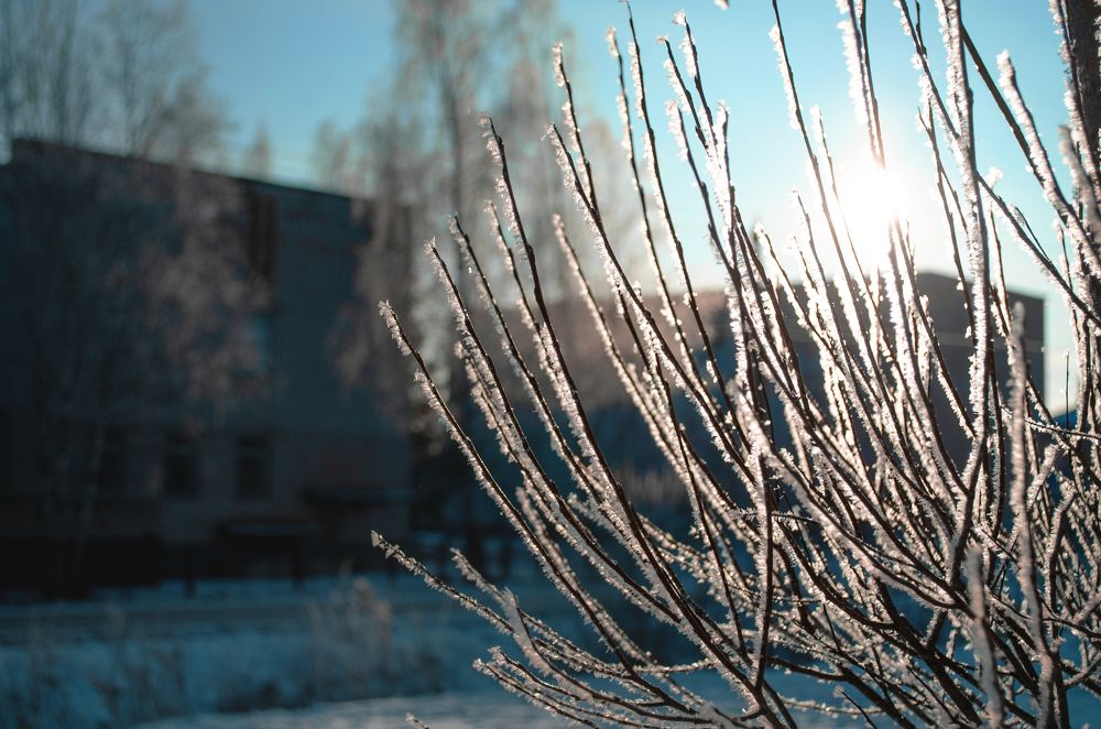 Photograph by Юлия Лупанова