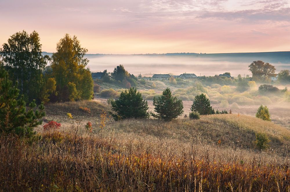 Photograph by Надежда Колеватова