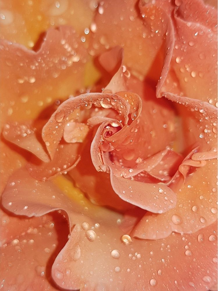 Photograph by Olga Weinberger