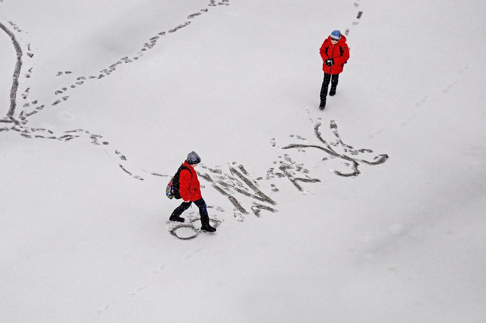 Художник из 2Г класса.