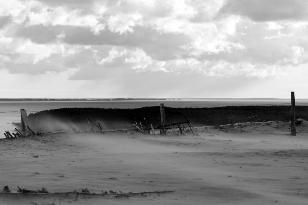 Photograph by Rolandas Valančauskas