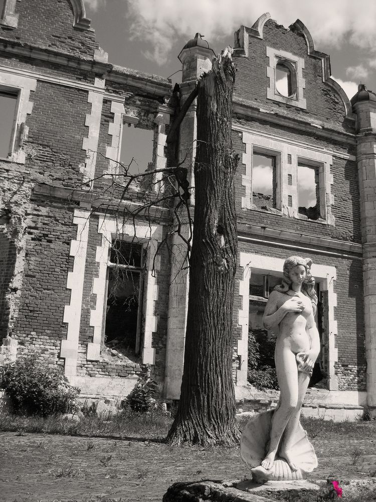 Photo #5864607
