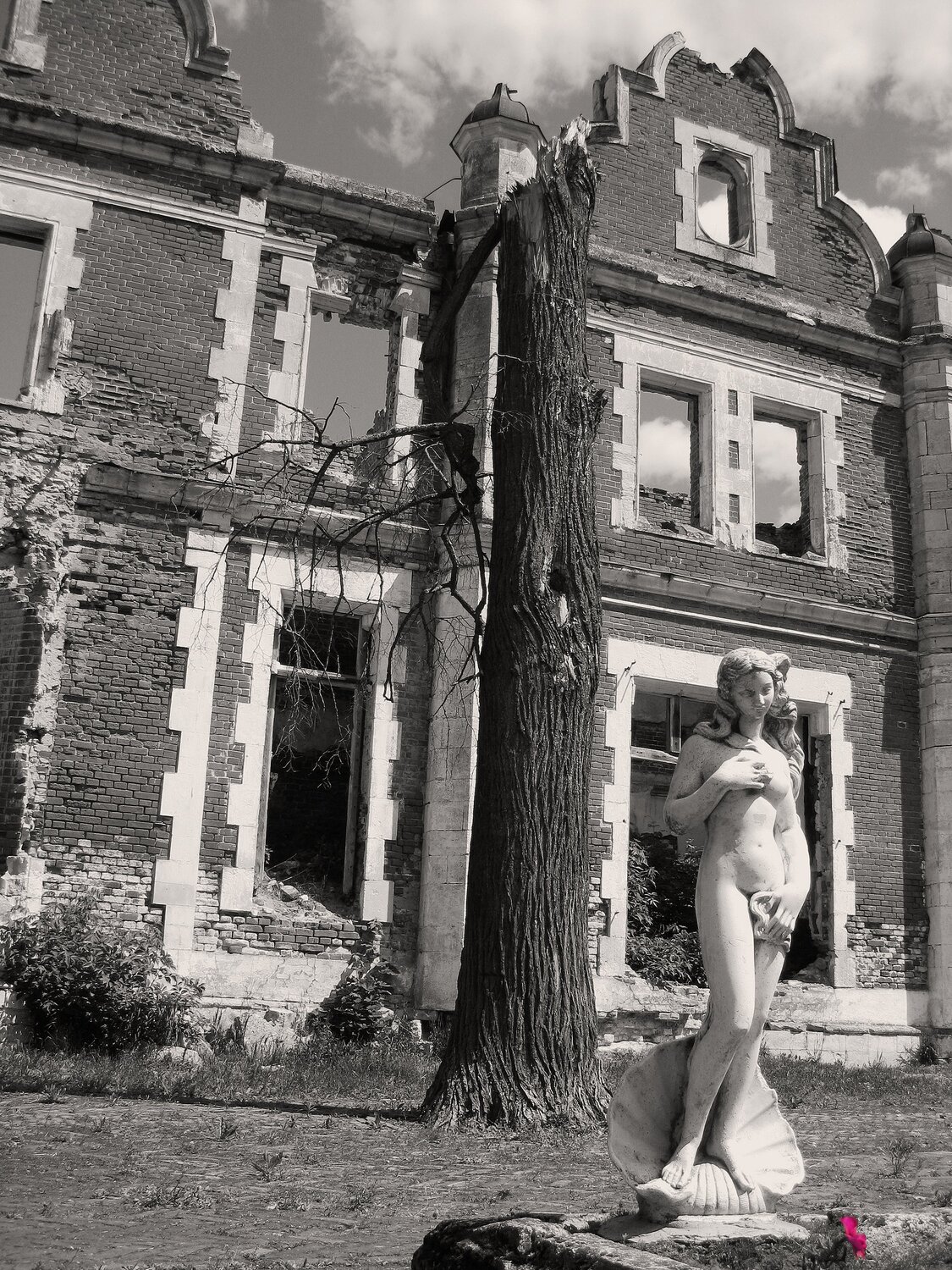 Photo #5864607
