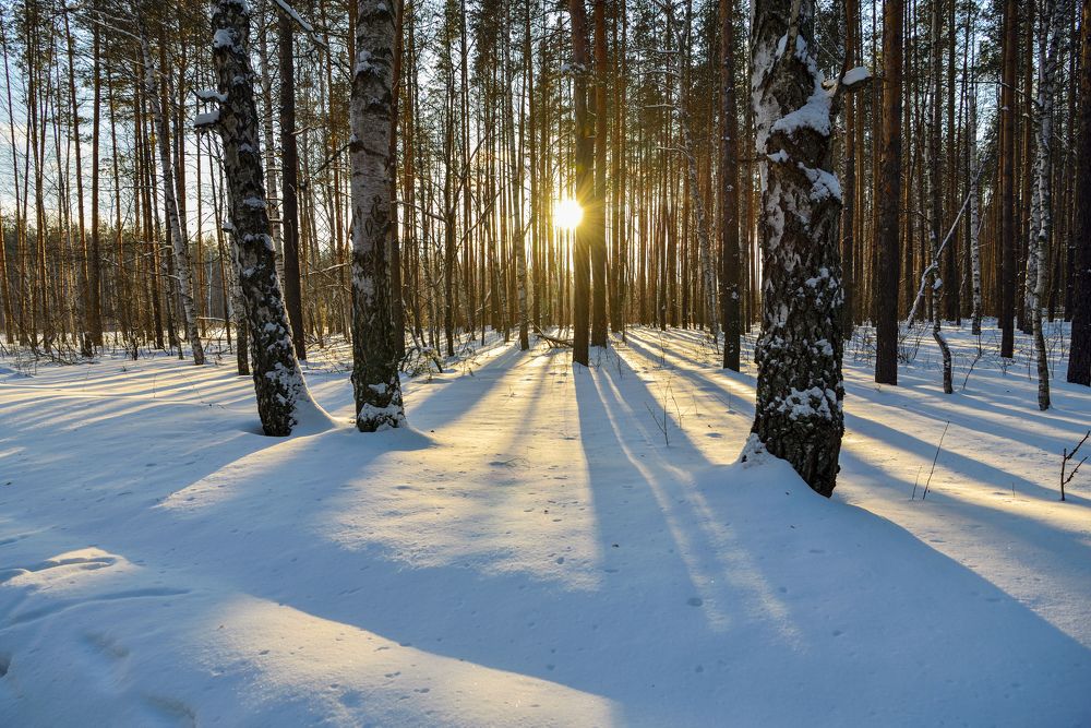 Февральское солнце на исходе дня