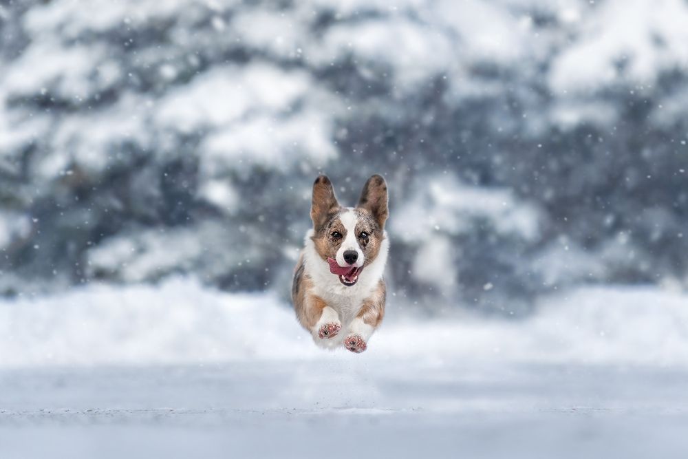 Photograph by Katerina Kutova