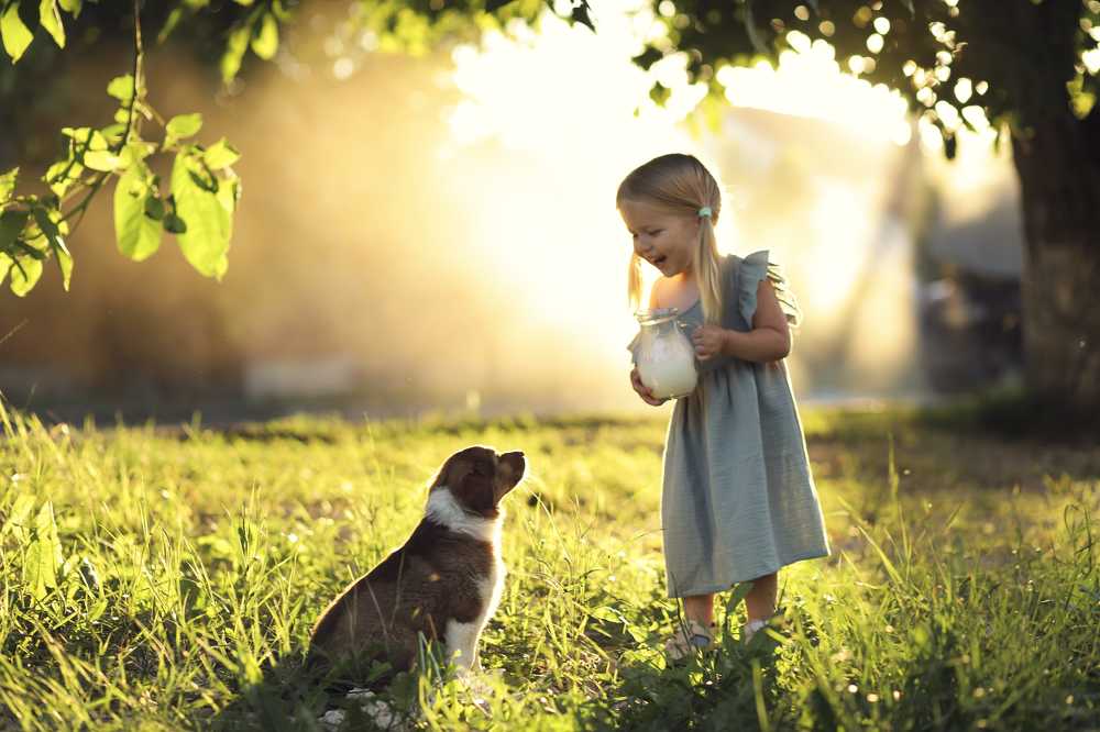 Photograph by Носикова Екатерина